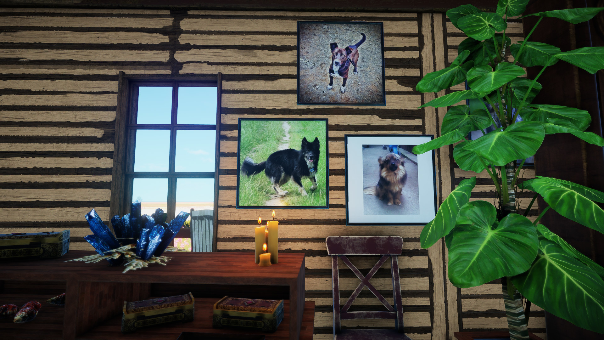 Animallica screenshot #25