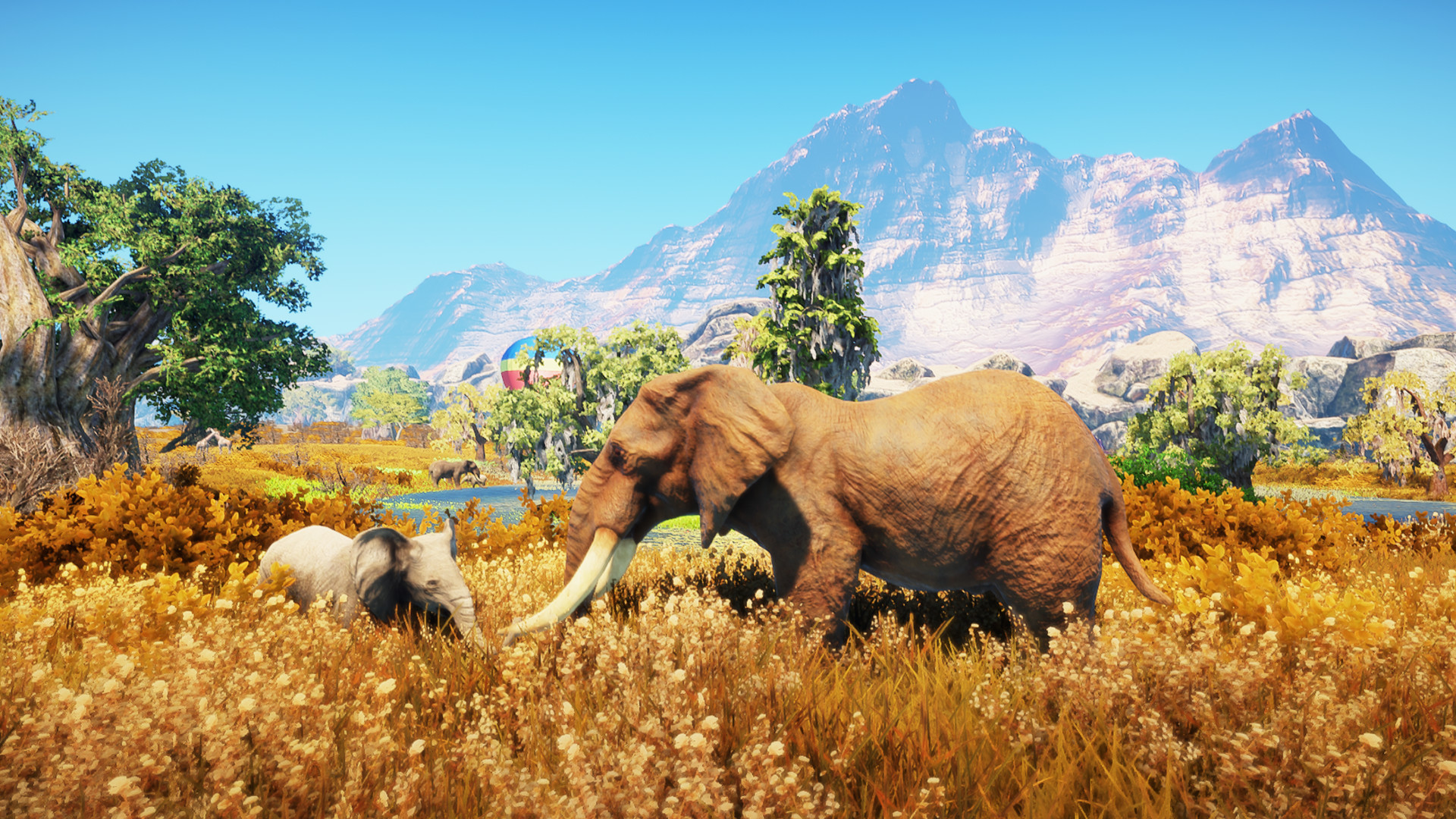 Find the best computers for Animallica