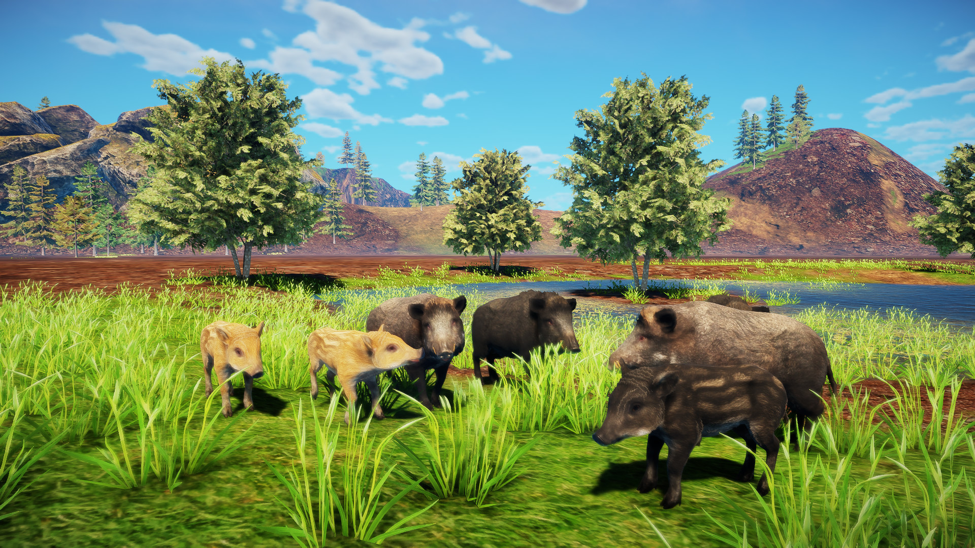 Animallica screenshot #13