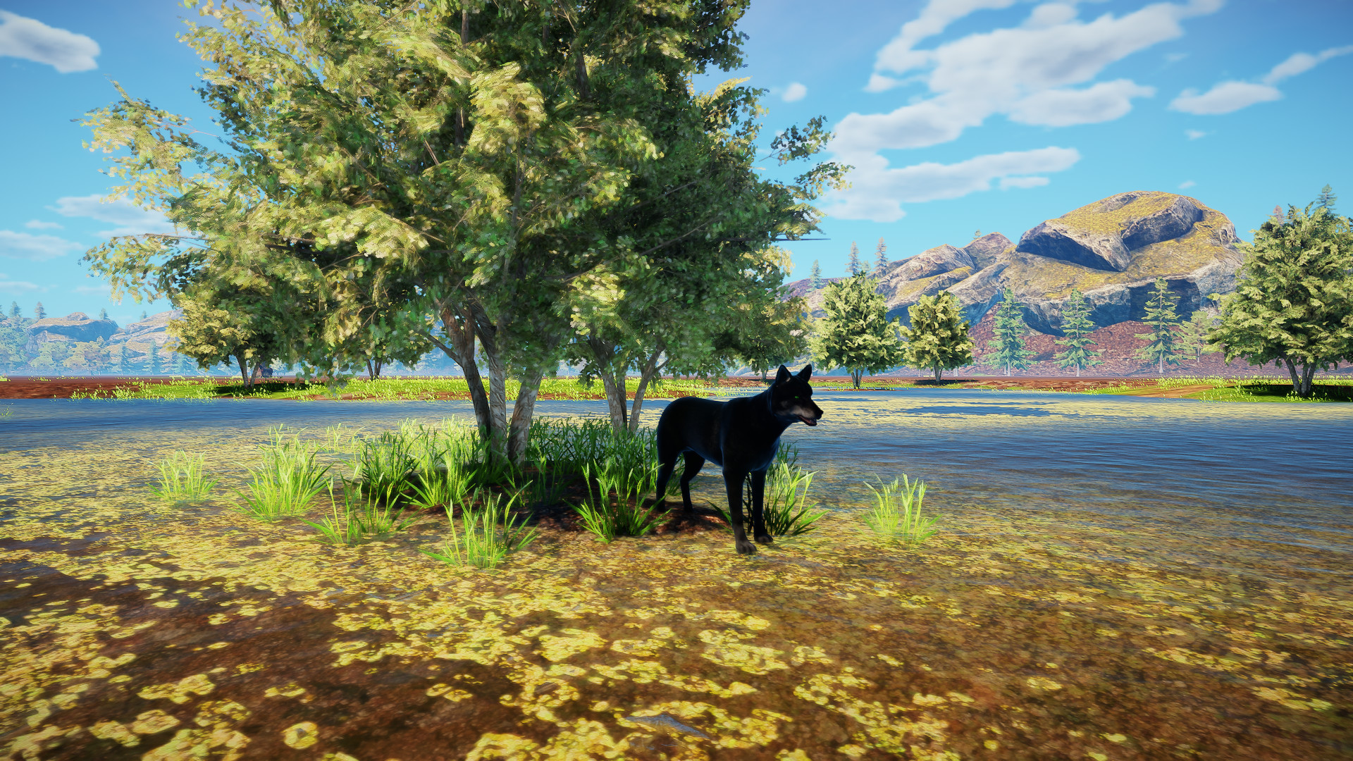 Animallica screenshot #50