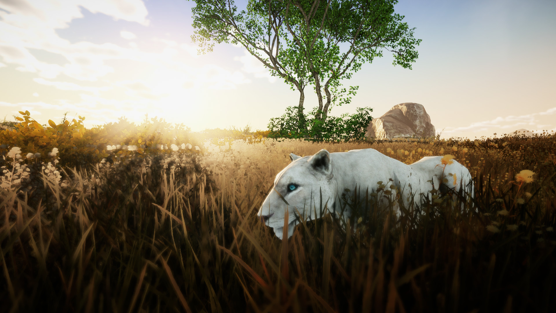 Animallica screenshot #8