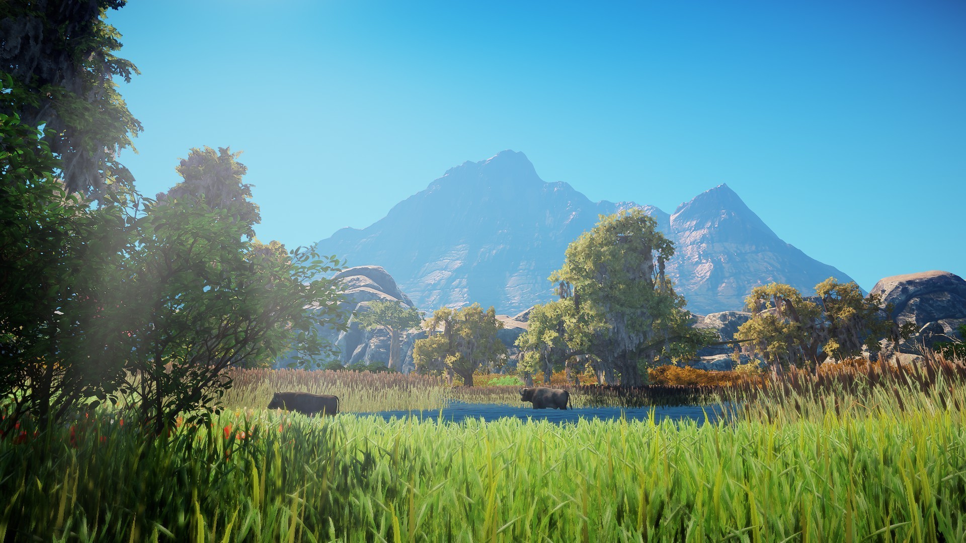 Animallica screenshot #24