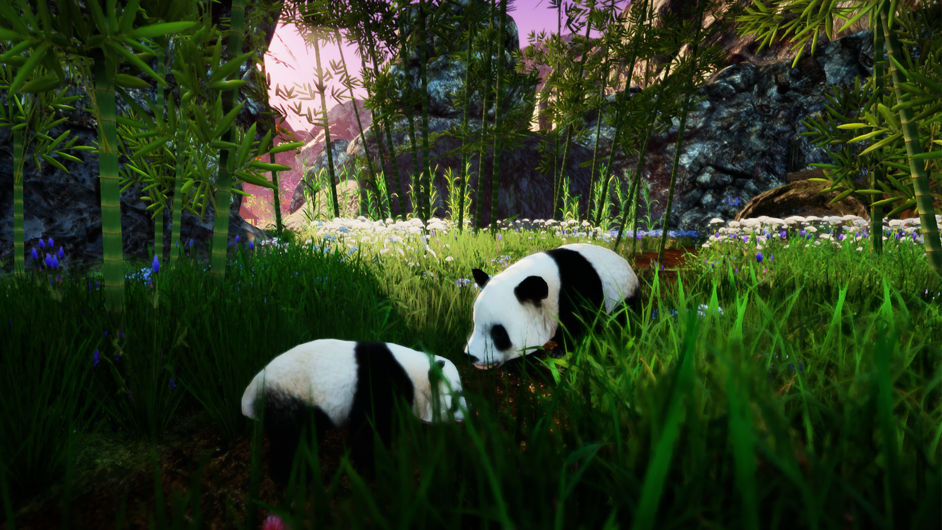 Animallica screenshot #5