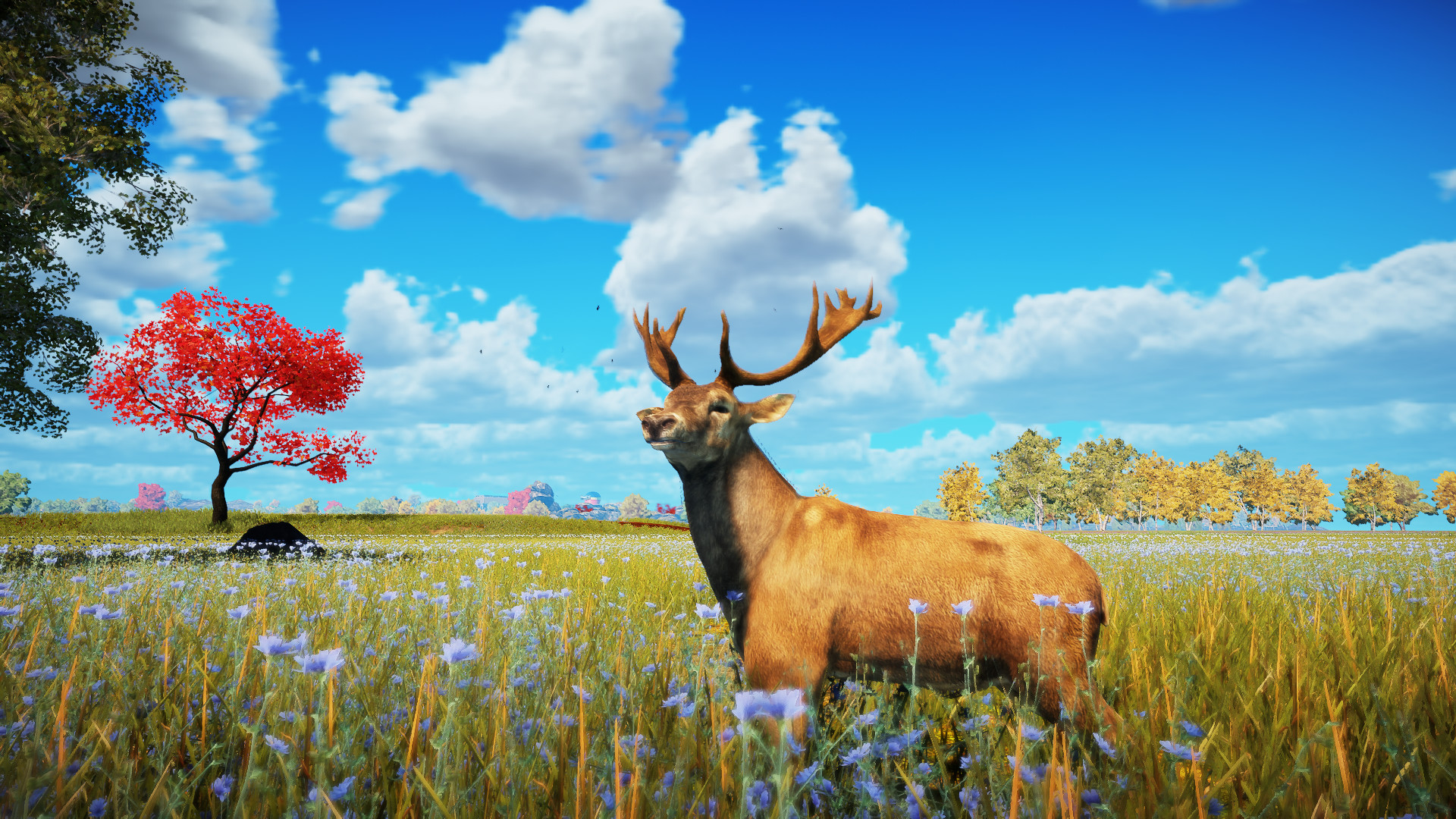 Animallica screenshot #10