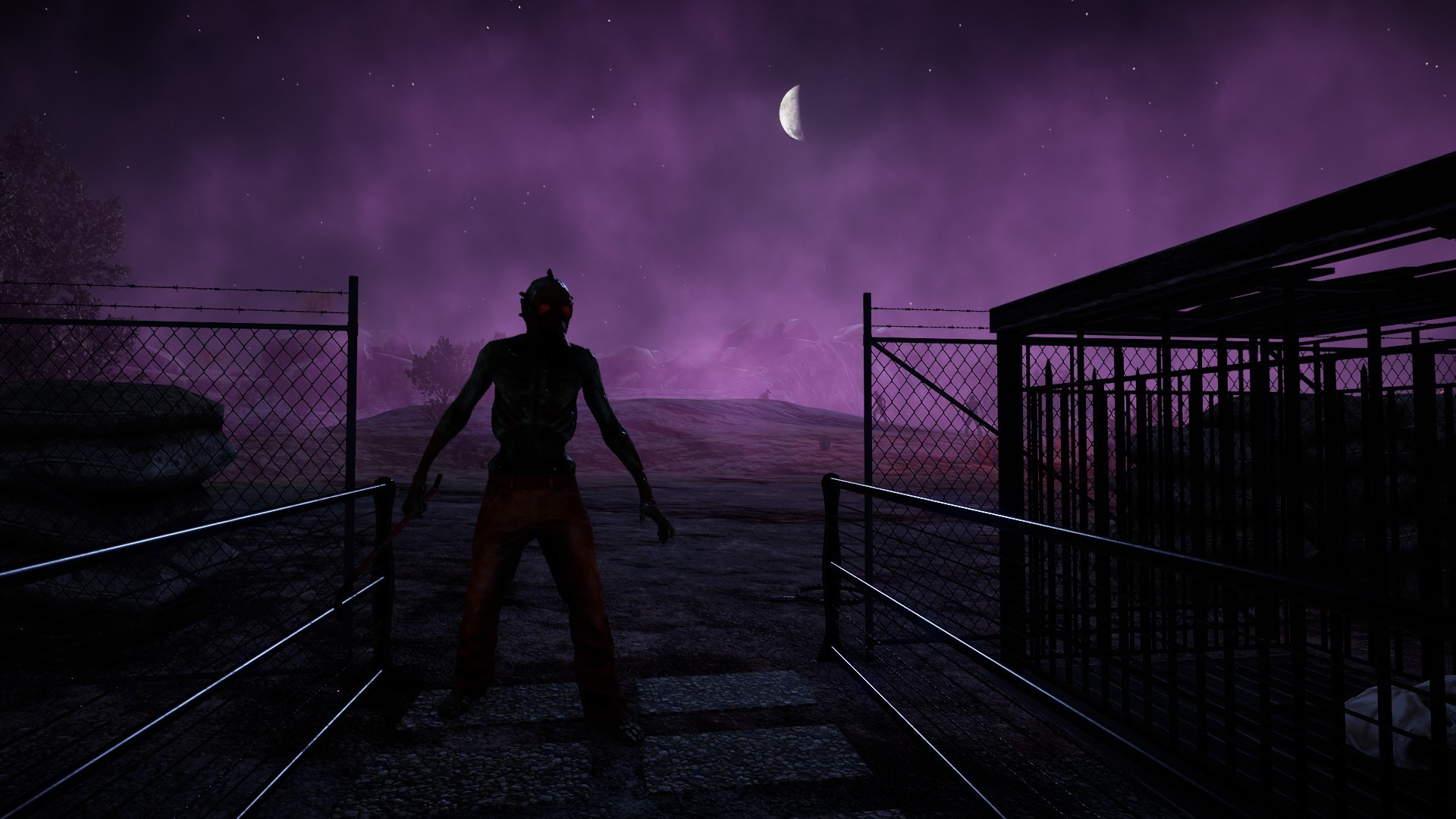 Animallica screenshot #20