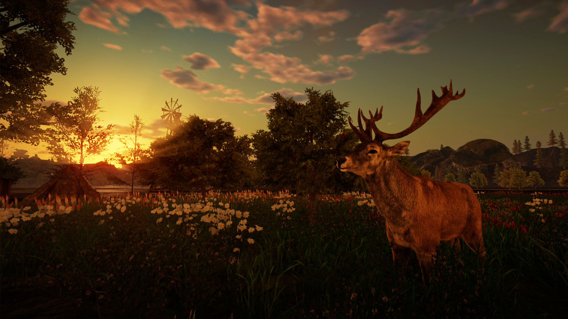 Animallica screenshot #32