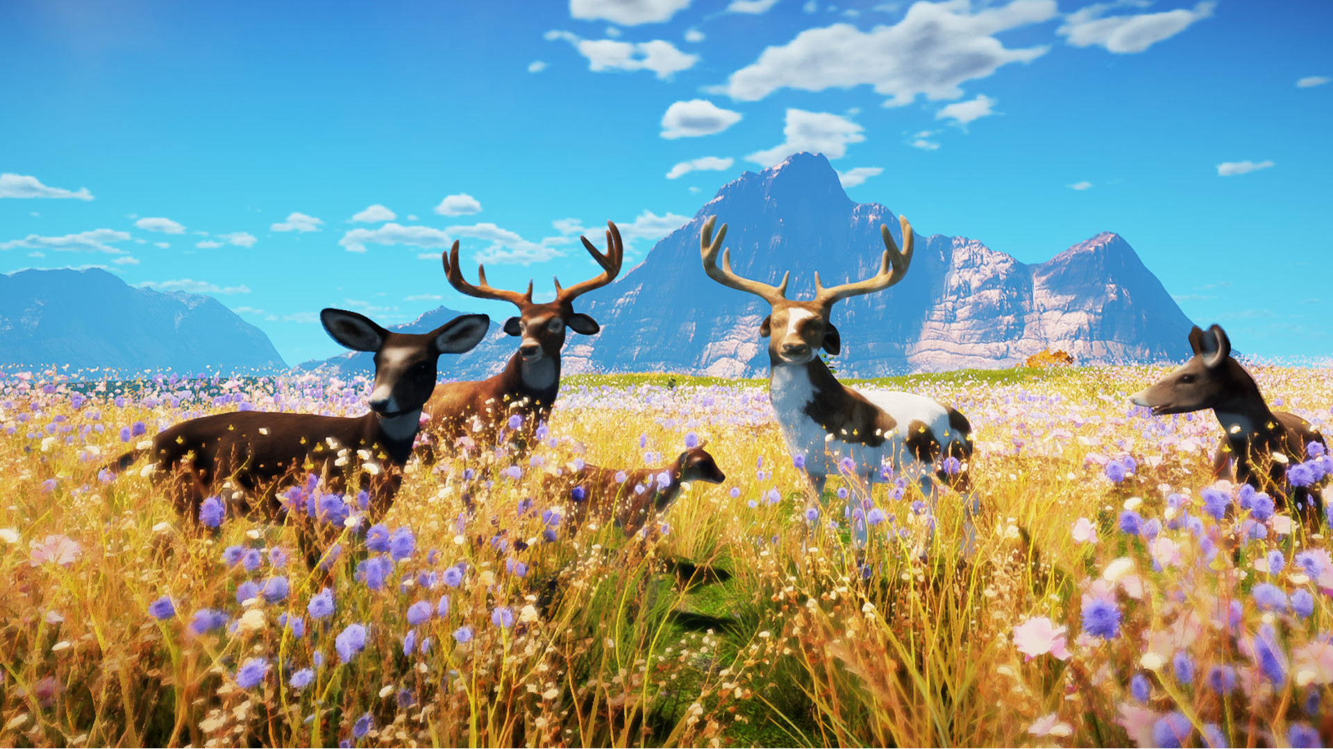 Animallica screenshot #3