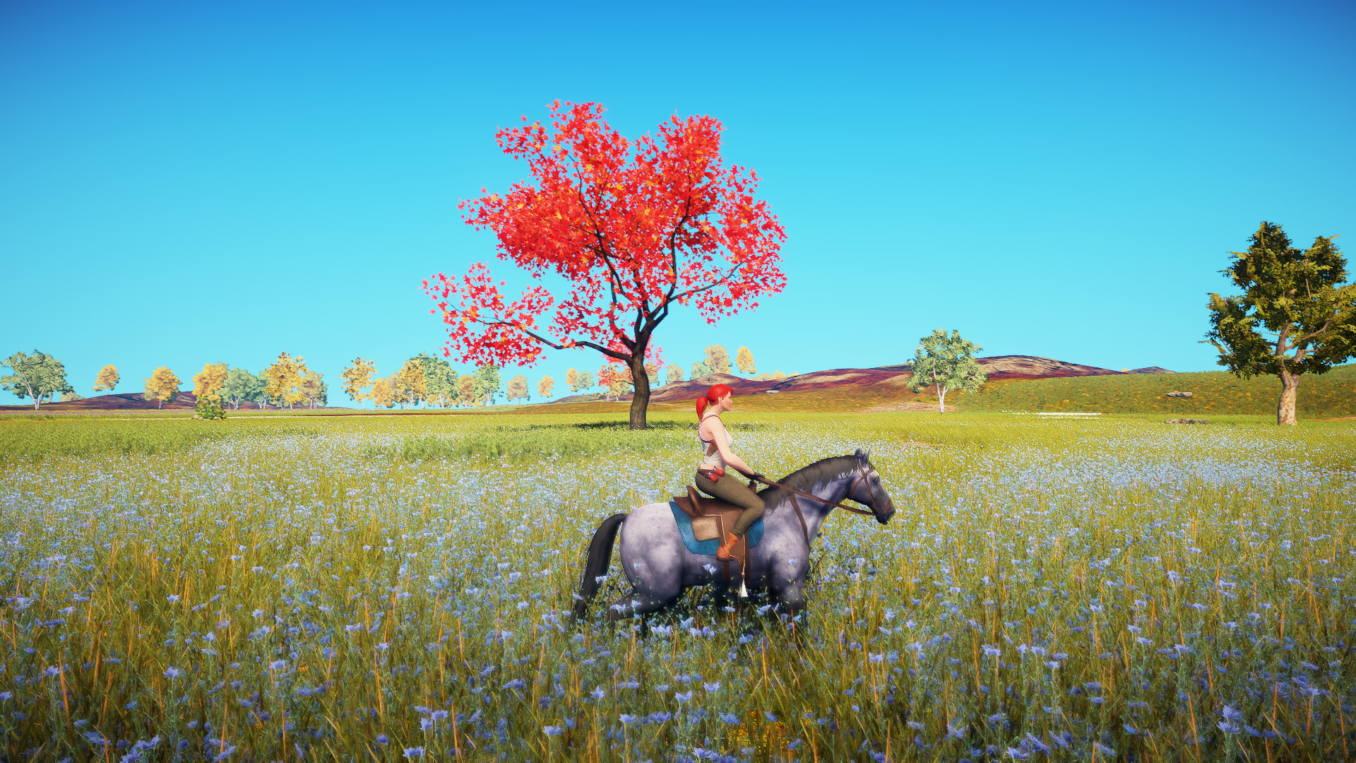 Animallica screenshot #12