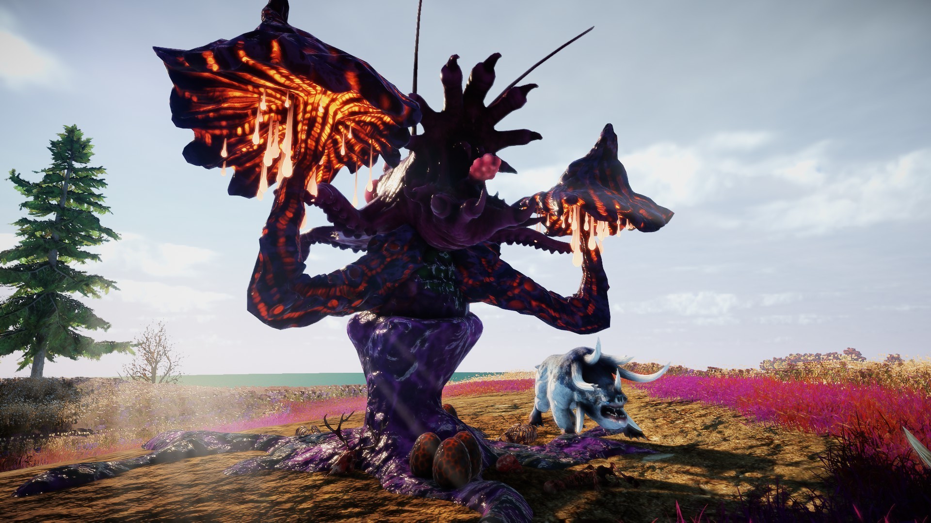 Animallica screenshot #19