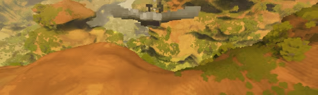 Fugl video 1