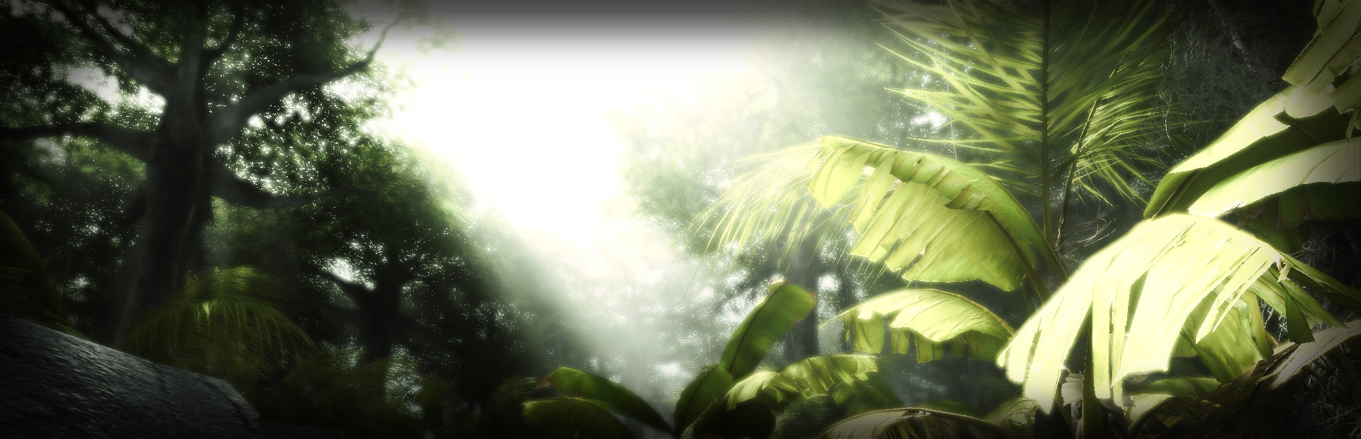 Jungle Hostages