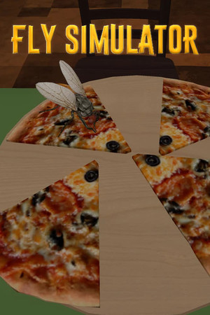 Cover art of Fly Simulator