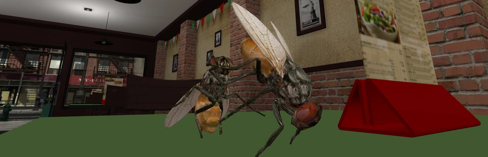 Fly Simulator