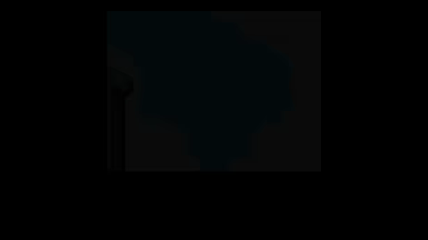 MagiCat video 2