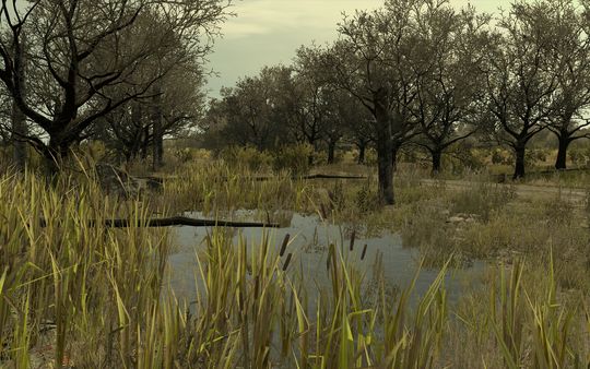 Arma 2: Private Military Company.