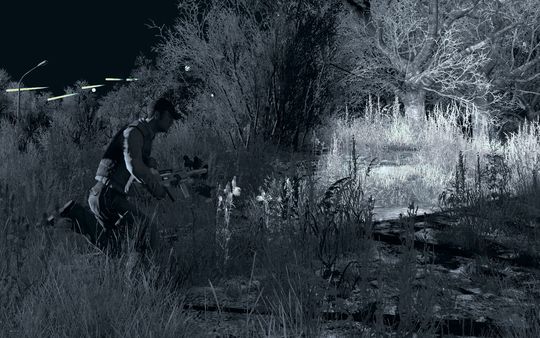 Arma 2: Private Military Company.