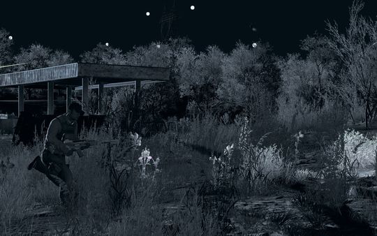 Arma 2: Private Military Company.