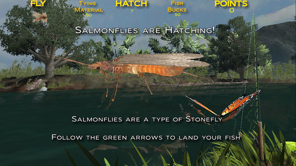 Fishing on the Fly screenshot 1
