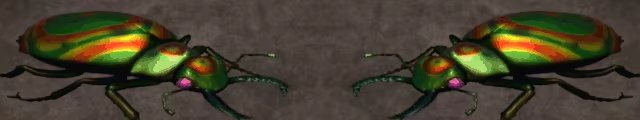 Beetle Uprising video 1
