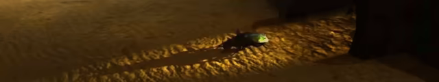 Beetle Uprising video 2