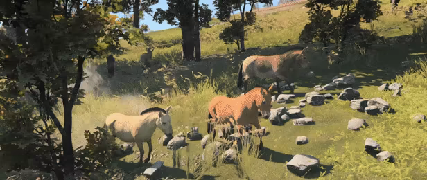 Ancient Cities video 7