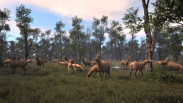 Ancient Cities Screenshot