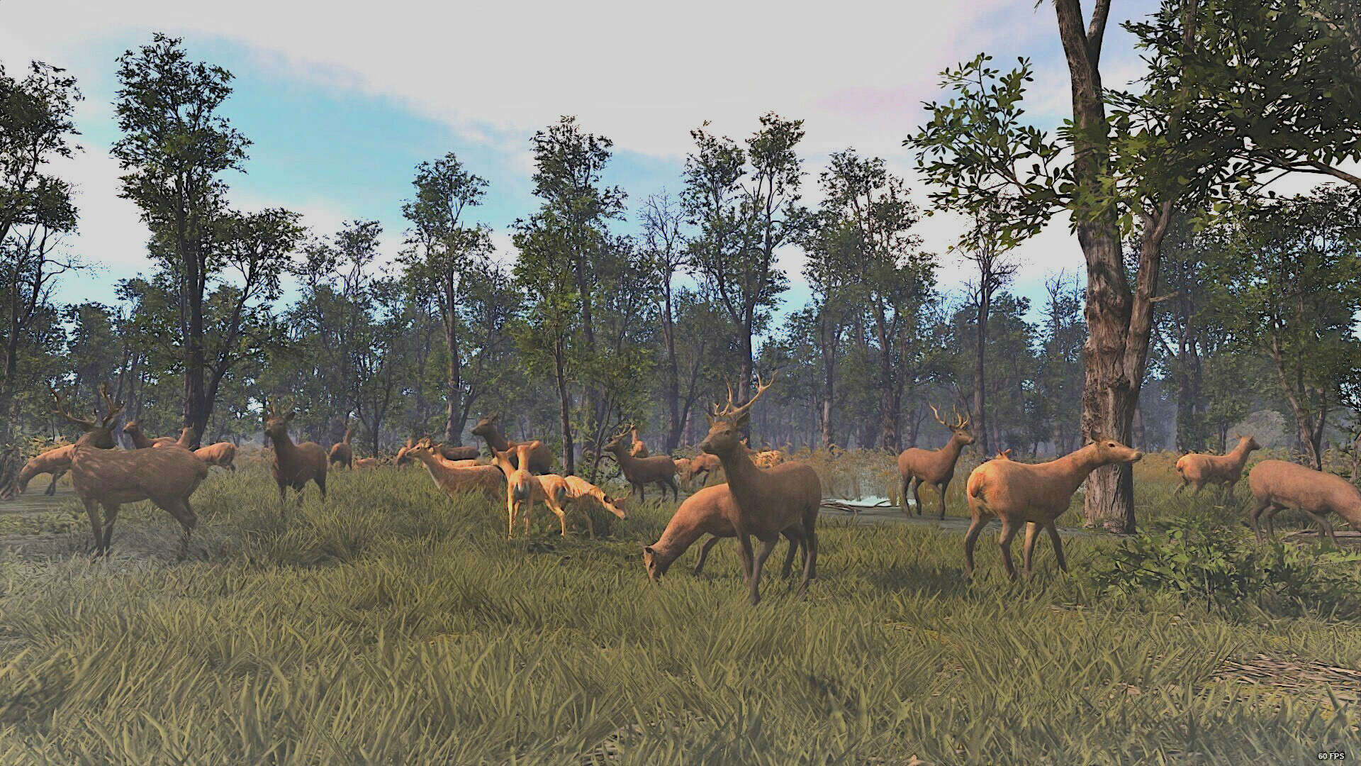 Ancient Cities screenshot 7