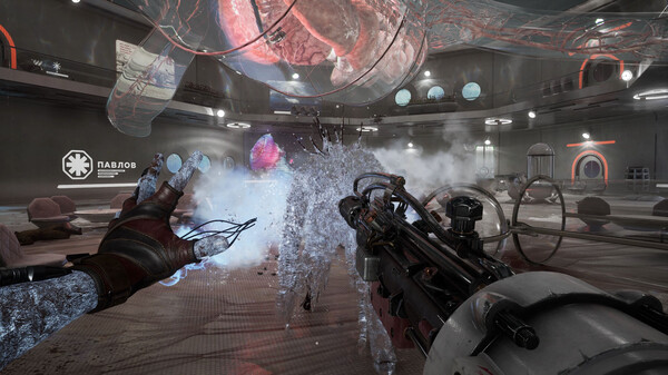 Screenshot 21