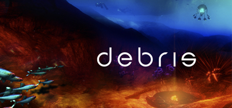 Debris crack status