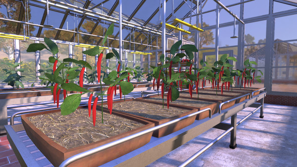 Farmer's Dynasty screenshot 3
