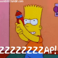ZAP Master video 1