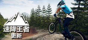 Descenders