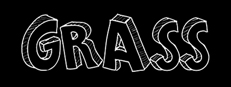 Grass game capsule image
