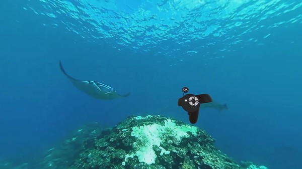 Screenshot z Mermaid VR Screenshot z Mermaid VR