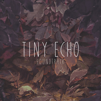 Tiny Echo Soundtrack screenshot 1