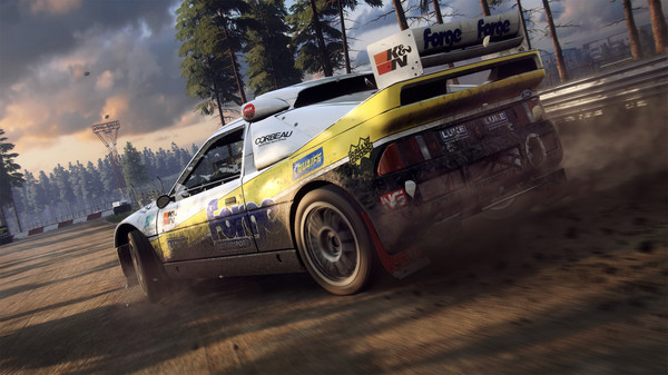 DiRT Rally 2.0 screenshot