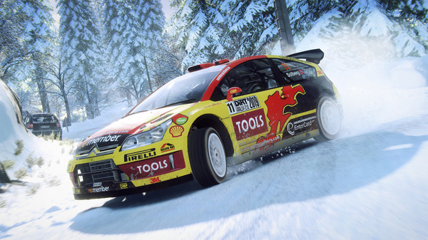 DiRT Rally 2.0 screenshot