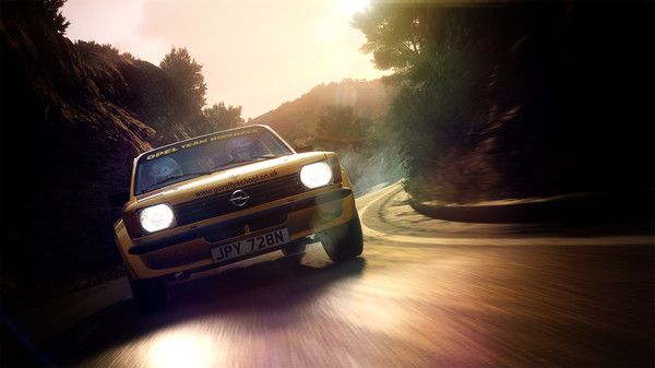 DiRT Rally 2.0 screenshot