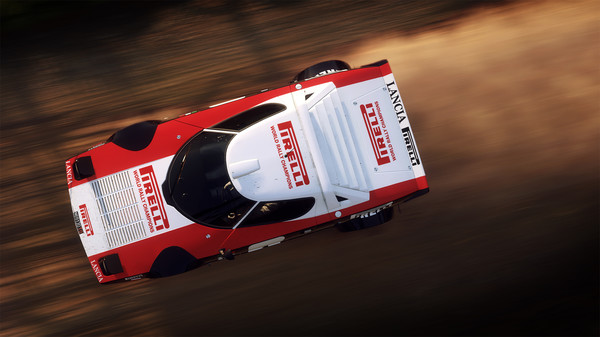 DiRT Rally screenshot 23