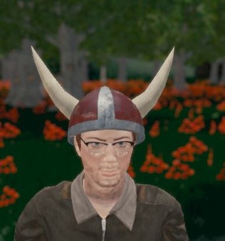 Hide and Seek - Viking Hat