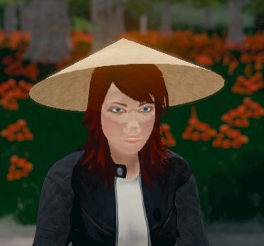 Hide and Seek - Rice Hat screenshot 3