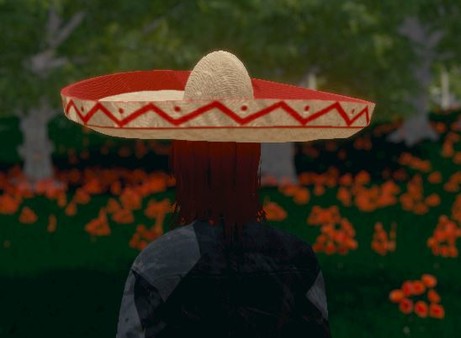 Hide and Seek - Sombrero