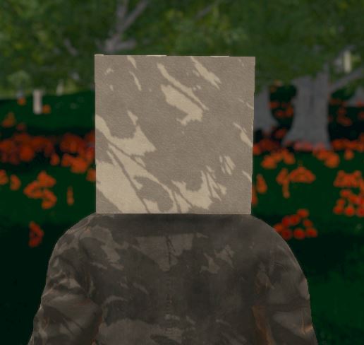 Hide and Seek - Box Head screenshot 5