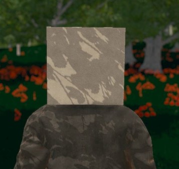 Hide and Seek - Box Head