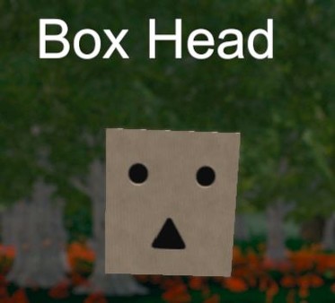 Hide and Seek - Box Head