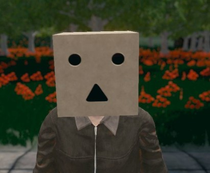 Hide and Seek - Box Head