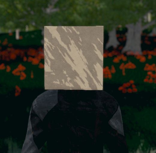 Hide and Seek - Box Head screenshot 4