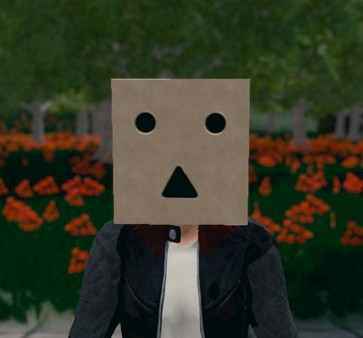 Hide and Seek - Box Head
