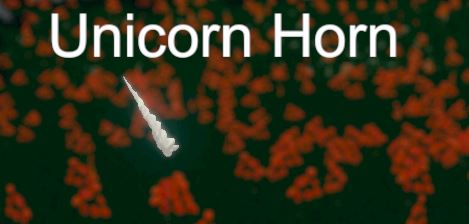 Hide and Seek - Unicorn Horn