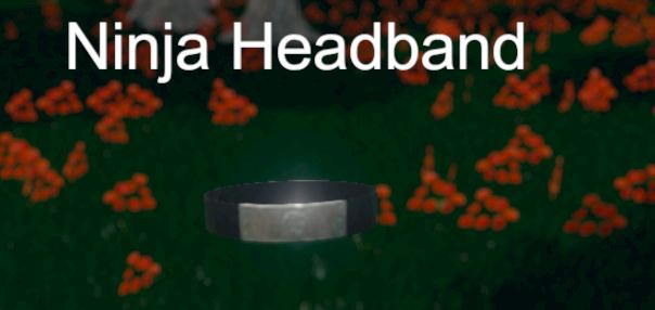 Hide and Seek - Ninja Headband screenshot 5